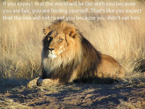 ... expect that the lion will not to eat you because you didn't eat him