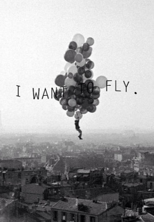 want to fly