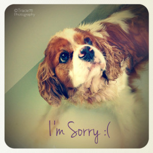 Say sorry with this cute card. It’s sure to make a frown turn into a ...