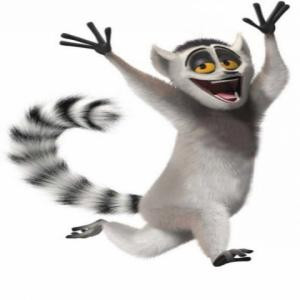 Related Pictures funny quotes from madagascar