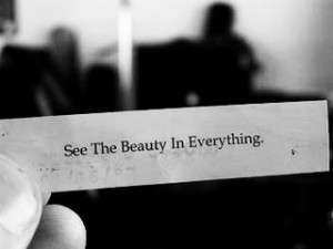 see the beauty in everything photo beautyineverything.png