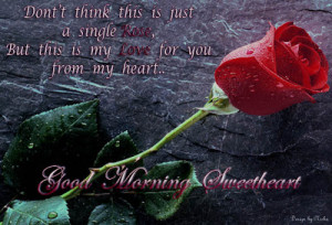 Good morning red rose wallpaper ! Awesome good morning quotes ! Good ...