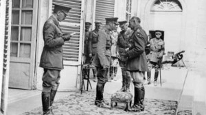 Press Quotes & Reviews