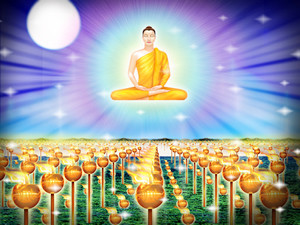 Let’s Meditate on Vesak DayThe commemoration to the Lord Buddha and ...
