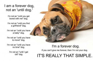 Uploaded to Pinterest