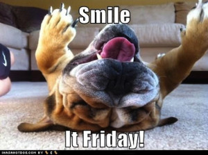 Friday Fun: Five Hilarious and Adorable Dog Videos