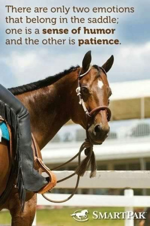 Patience & a sense of humor