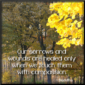 Healing Quotes - Our sorrows and wounds are healed only when we touch ...