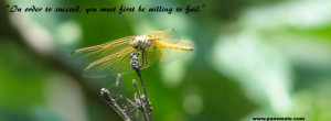 Facebook Cover Photo Dragonfly Quote On Life And Failure Picture