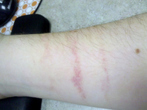 We’ve Become a Nation of Takers, Not Makers