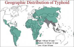 Typhoid Fever Map