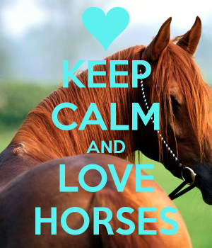 KEEP CALM AND LOVE HORSES