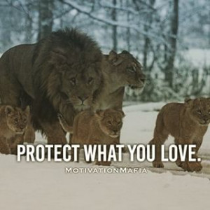 Instagram photo by mariamkhan19 - #insta #quote #family #protect #what ...