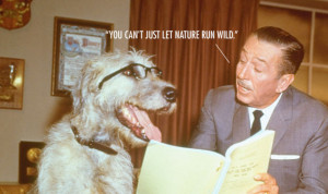 Walt Disney Quotes That Are Actually Fake | RGS Computing