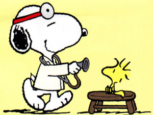 ... october dr snoopy including pets in psychological treatments dr snoopy