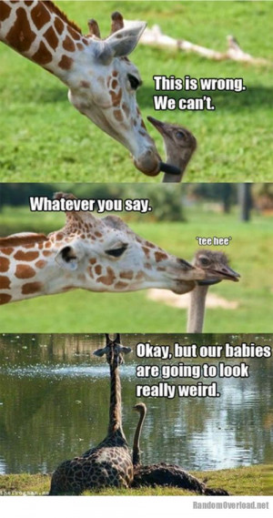 Funny Quotes Contact Dmca...