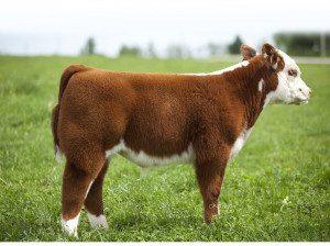 Taken May 2011 2 Months old