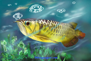 109074d1339742760-tropical-fish-wallpaper-tropical-fish-wallpaper.jpg