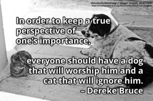 am certain there is too much certainty in the world.