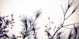 home farewell quotes farewell quotes hd wallpaper 11