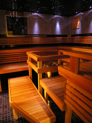 ... rerum novarum ideas principales k. sabaliauskaite silva rerum