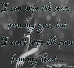 can wipe the tears from my eyes but i can t wipe the pain from my ...