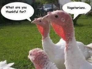 For the Vegans out there :D (Pic from My Prozac Moment @ Facebook)