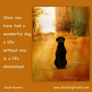 kb jpeg death of dog quotes http myquoteshome com category pet quotes ...