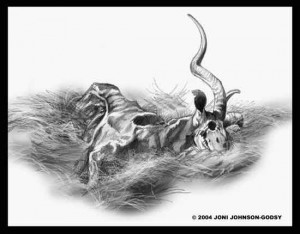 Kudu Bull Carcass