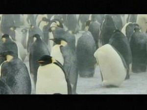 Damon Wayans Trailers