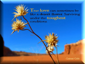 True love can sometimes be like a desert flower. Surviving under the ...