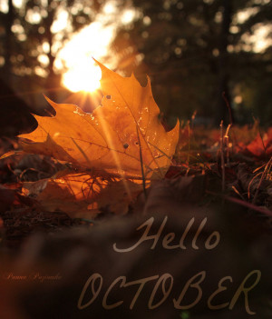Hello October. by panna-poziomka