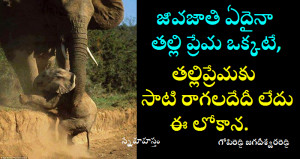 Telugu Good Morning Quotes For Facebook