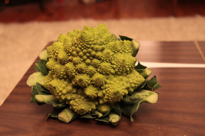 Fractal Cauliflower Fotopedia