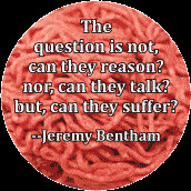 ... talk? but, can they suffer? -Jeremy Bentham quote POLITICAL COFFEE MUG