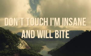 don t touch i m insane and will bite