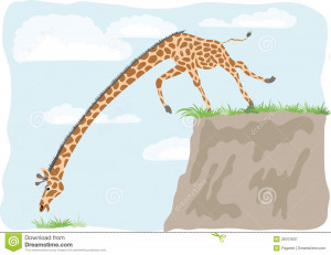 Grass Always Greener Over There Giraffe Wants Only Eat The