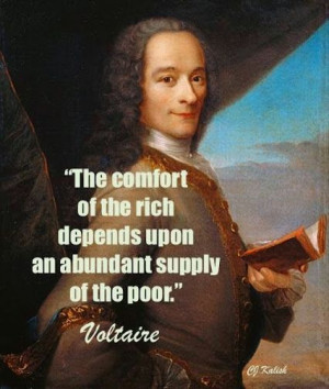 37 Awesome #Voltaire #Quotes to Get Your Brain Thinking