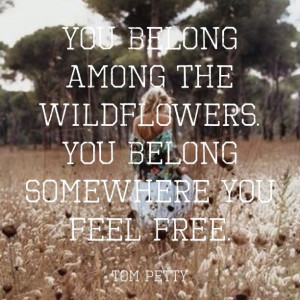 You belong among the wildflowers. Made with QUOTIFUL #quotes