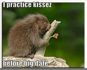 Funny animals and funny sayings