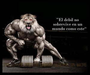 Publicadas por mark GTM a la/s 02:47