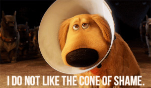 Doug - the cone of shame