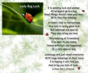 Lady Bug Luck
