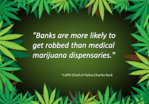 LAPD Chief of Police Quote about Marijuana Robberies