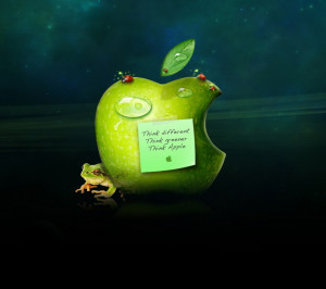 android apple quote frog hd wallpaper