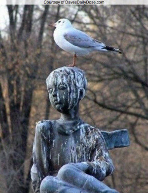 bird pooping on person
