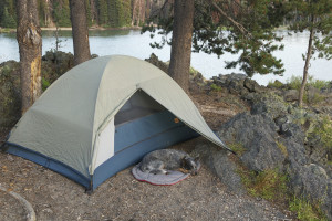 Funny Camping Pictures