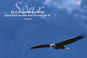 SOAR - Until You Spread Your Wings