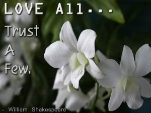 Trust Image Quotes And Sayings