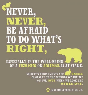 Never Be Afraid to do What's Right